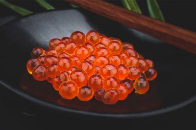 vitayang-salmon-peptide-telur-salmon